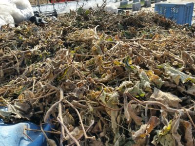 年末年始のハナシ