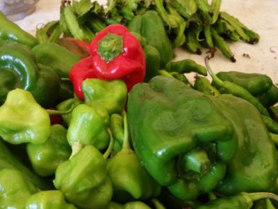 夏野菜と秋冬野菜のハナシ