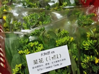 4月7日のハナシ