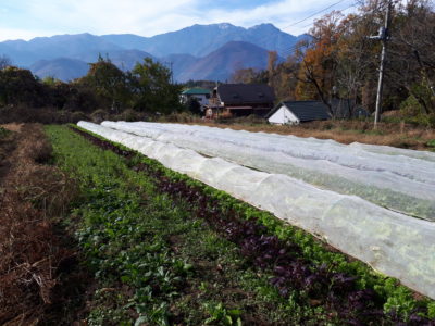 お休みのハナシ