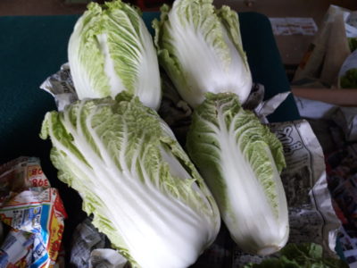 今日の野菜のハナシ