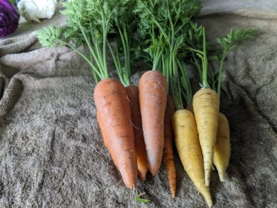 カレーのハナシ2023