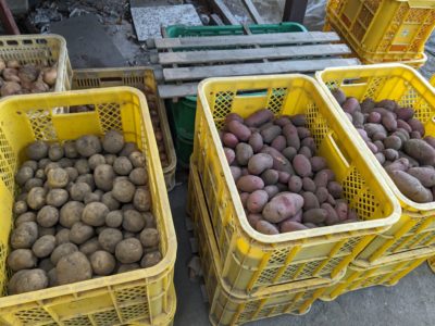 じゃがいものハナシ