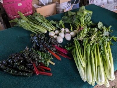 今日の野菜と天気のハナシ