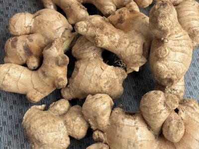 生姜とかぼちゃのハナシ